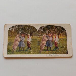 CUTE Victorian Stereograph Card "Molly's Breakfast" Children feeding a Sheep